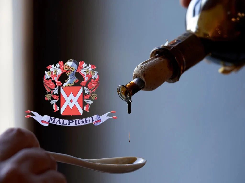 Acetaia Malpighi: 175 Jahre Balsamico-Tradition aus Modena - OLIPASO