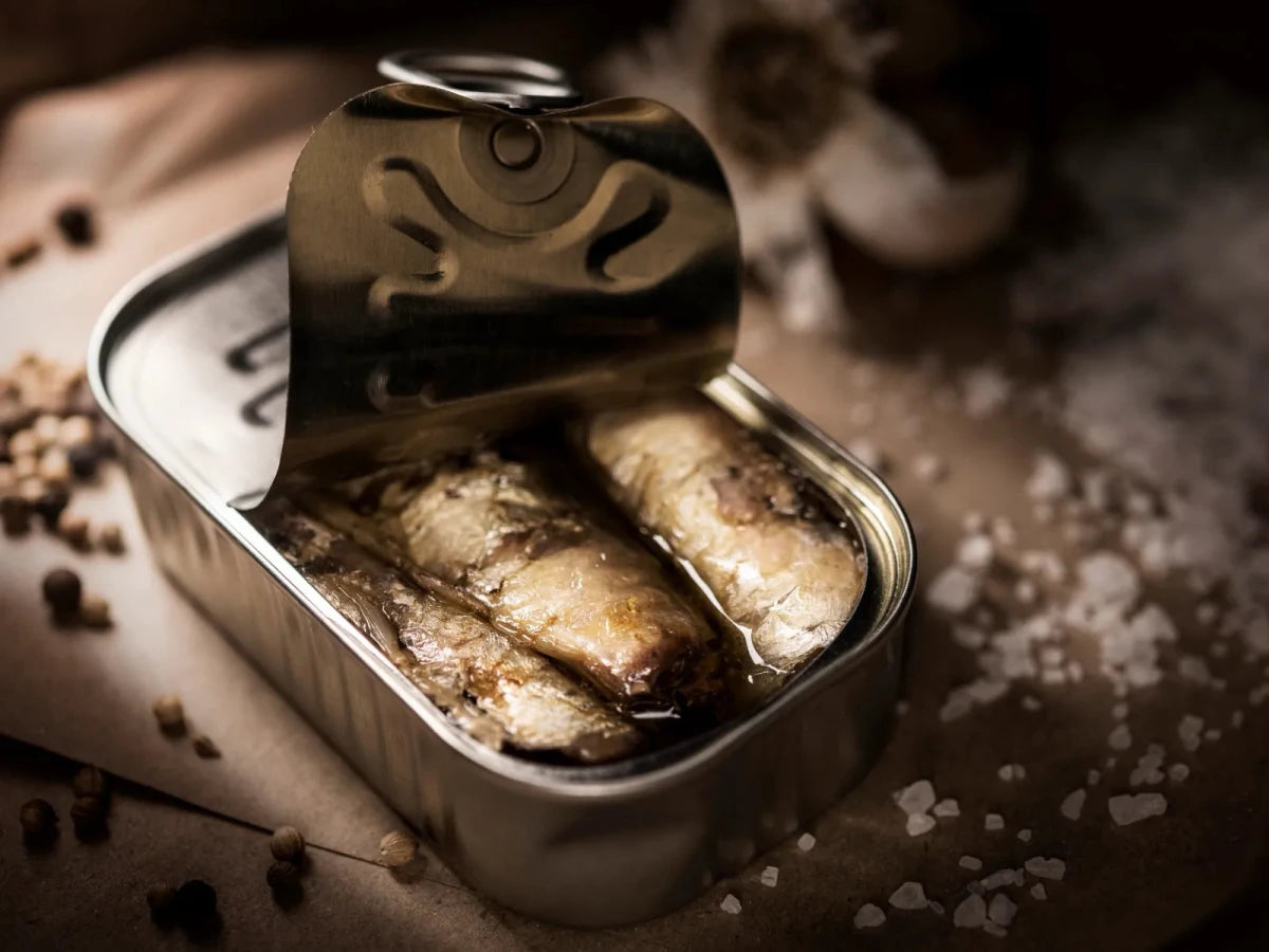 Fischkonserven online kaufen - OLIPASO