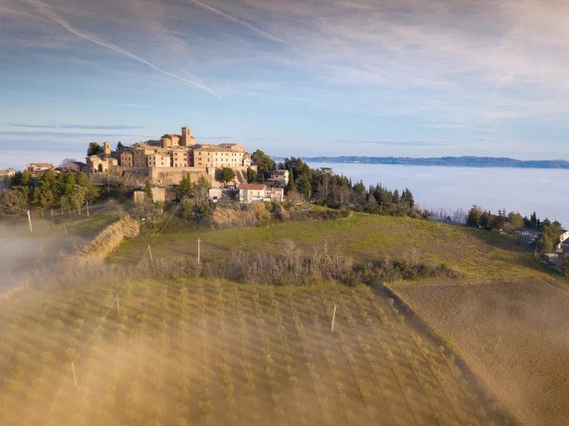 Region Marken | Italien - OLIPASO