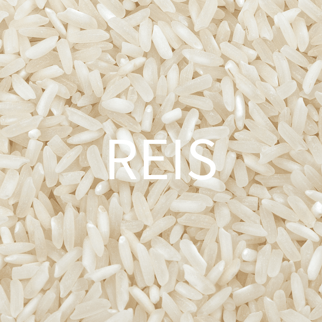 Reis - OLIPASO
