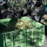 Grand Cru Extra Vergine IGP Olio di Puglia - OLIPASO - Olivenöl