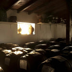 Malpighi Fasslager für Aceto Balsamico di Modena IGP - OLIPASO - Essig