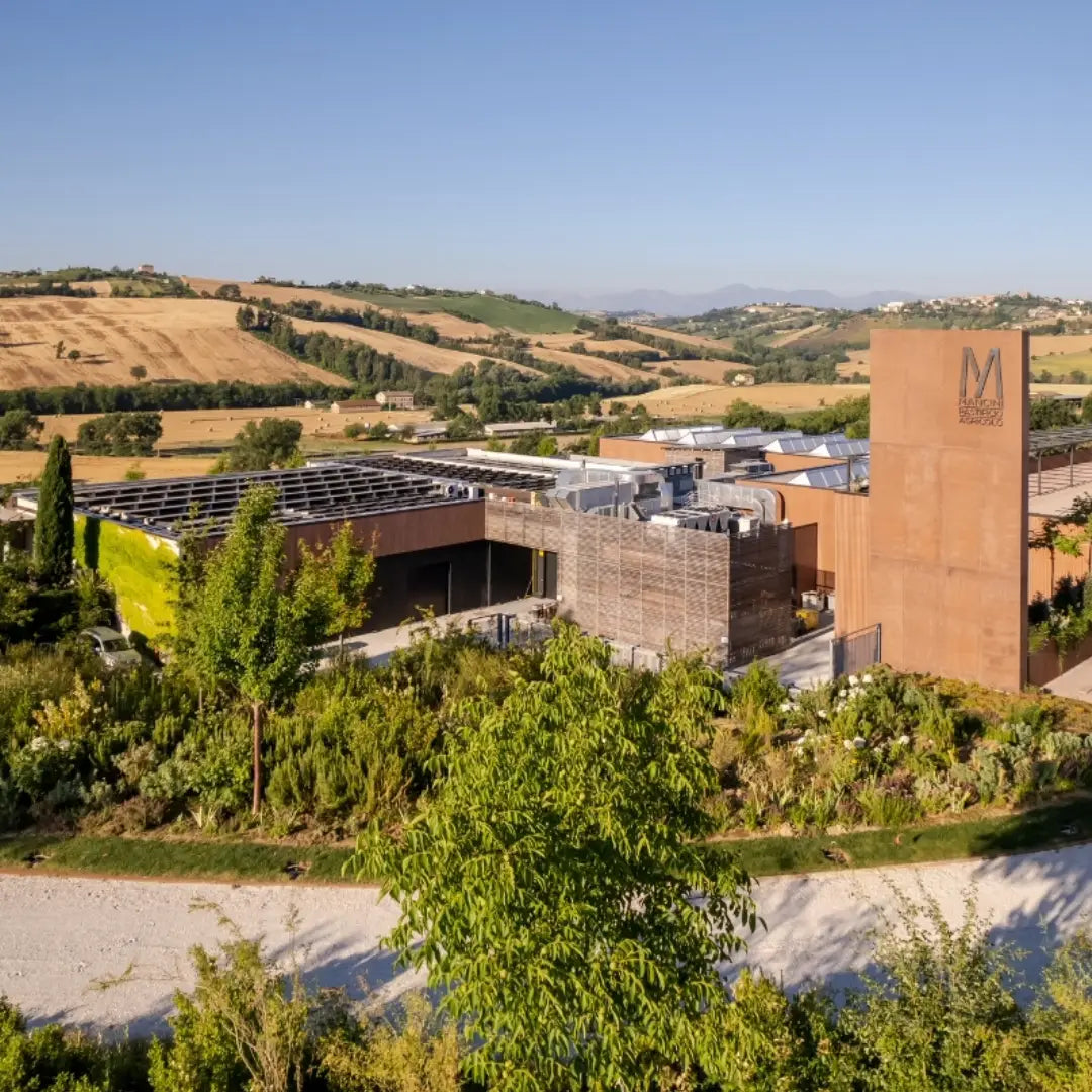Pastificio Mancini in Monte San Pietrangeli inmitten der eigenen Hartweizenfelder