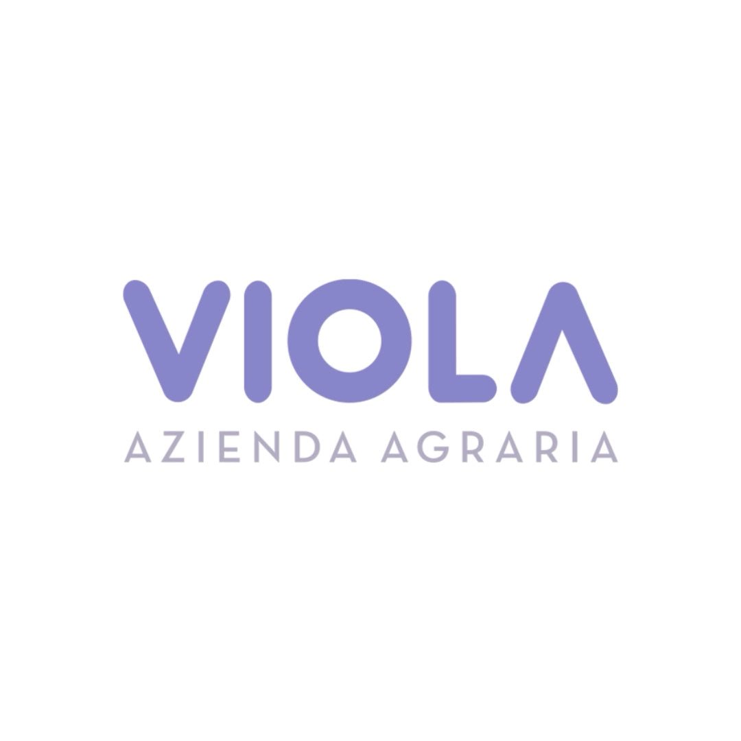 Quadratisches-Logo-des-Olivenölproduzenten-Viola-aus-Umbrien