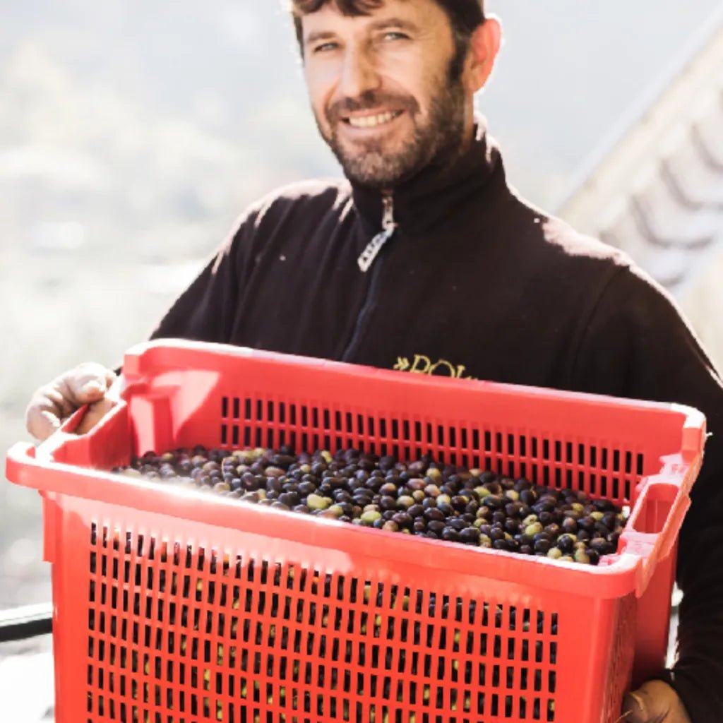 3 - Liter - Kanister Olivenöl Monocultivar Taggiasca Extra Vergine - OLIPASO - Olivenöl