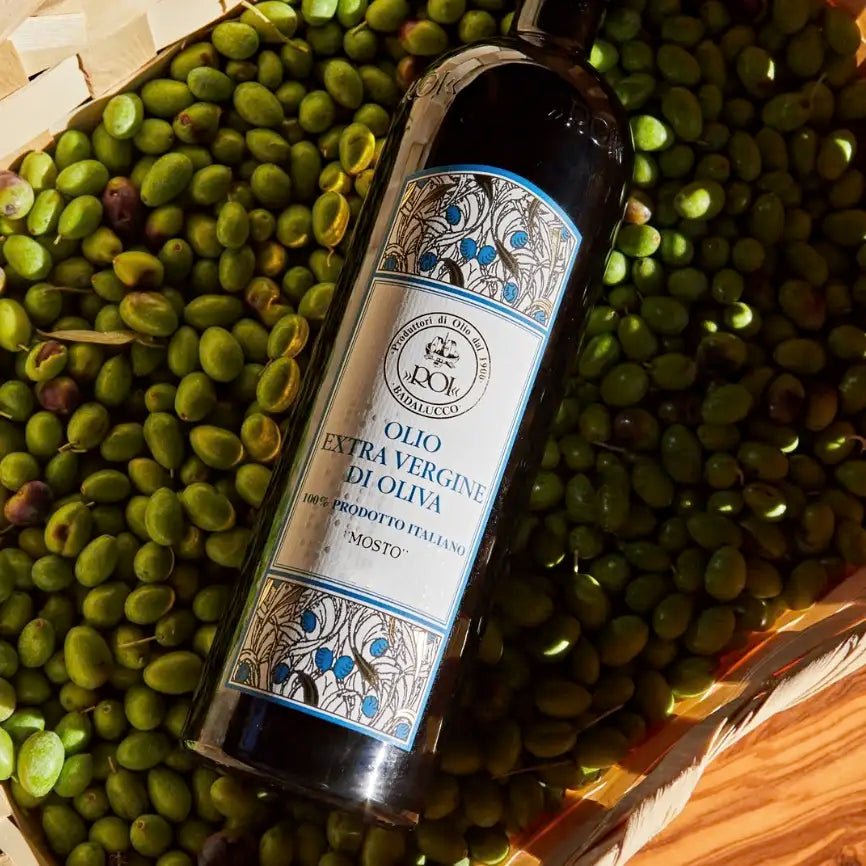 Roi Mosto Olivenöl mit frischen Oliven im Valle Argentina
