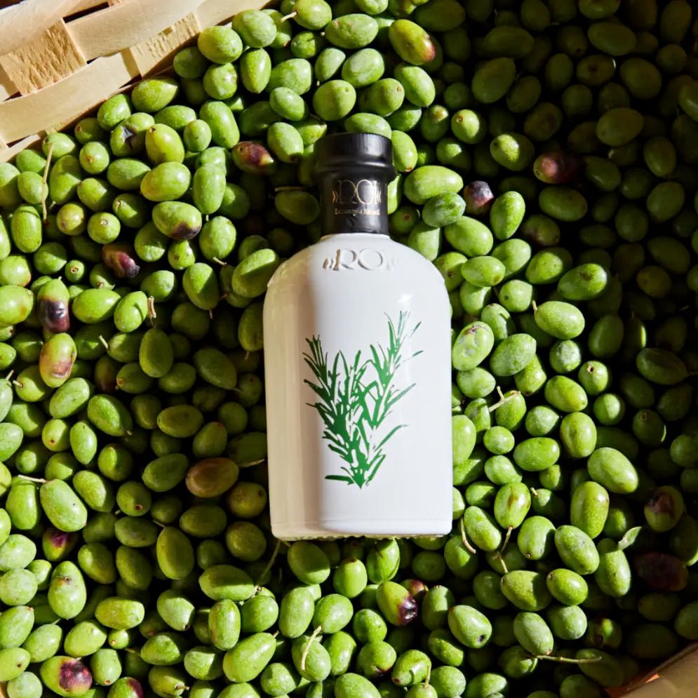 Roi Olio al Rosmarino Rosmarinöl 250 ml Flasche auf geernteten Oliven