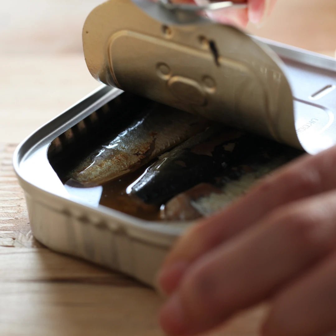 Pollastrini Sardinen in der Dose - OLIPASO - Fischkonserven